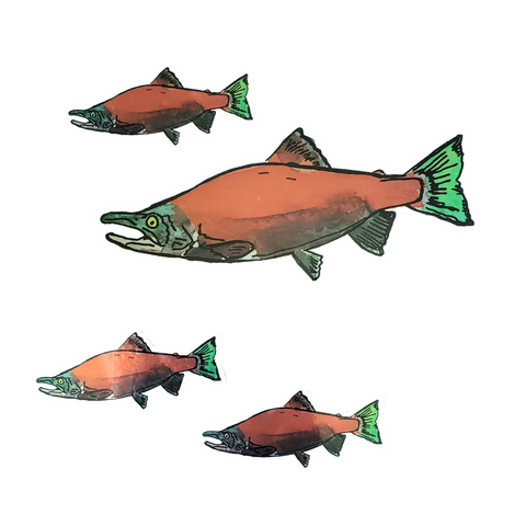 Kokanee Sticker